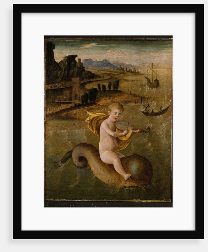 Arion riding on a Dolphin, c.1509-10 by Francesco Bianchi Ferrari
