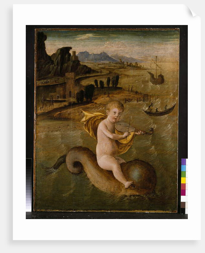 Arion riding on a Dolphin, c.1509-10 by Francesco Bianchi Ferrari
