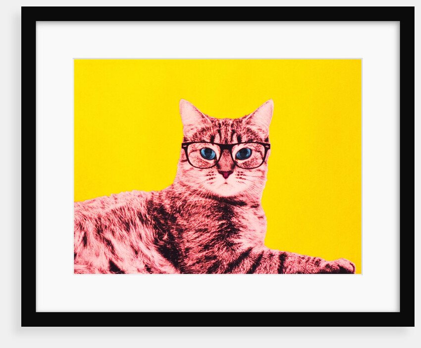 Life in technicolor, 2017 by Anne Storno