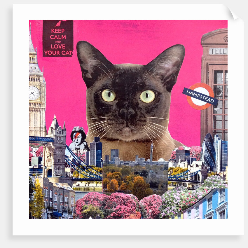 Urban cat, 2015 by Anne Storno