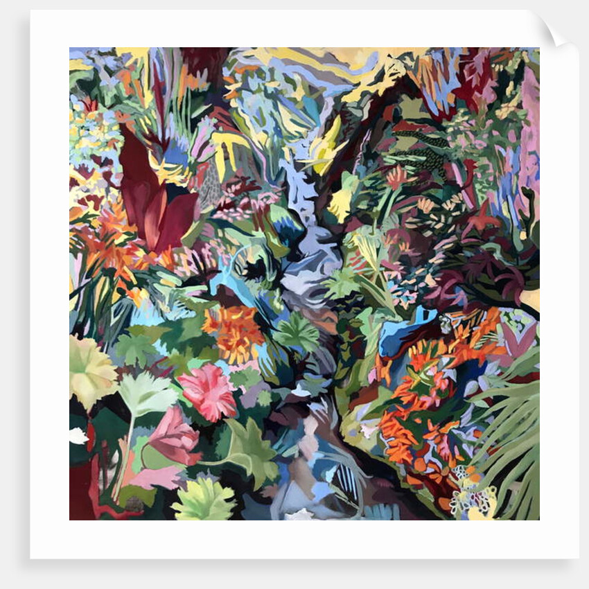 Gunnera, 2018 by rose lascelles