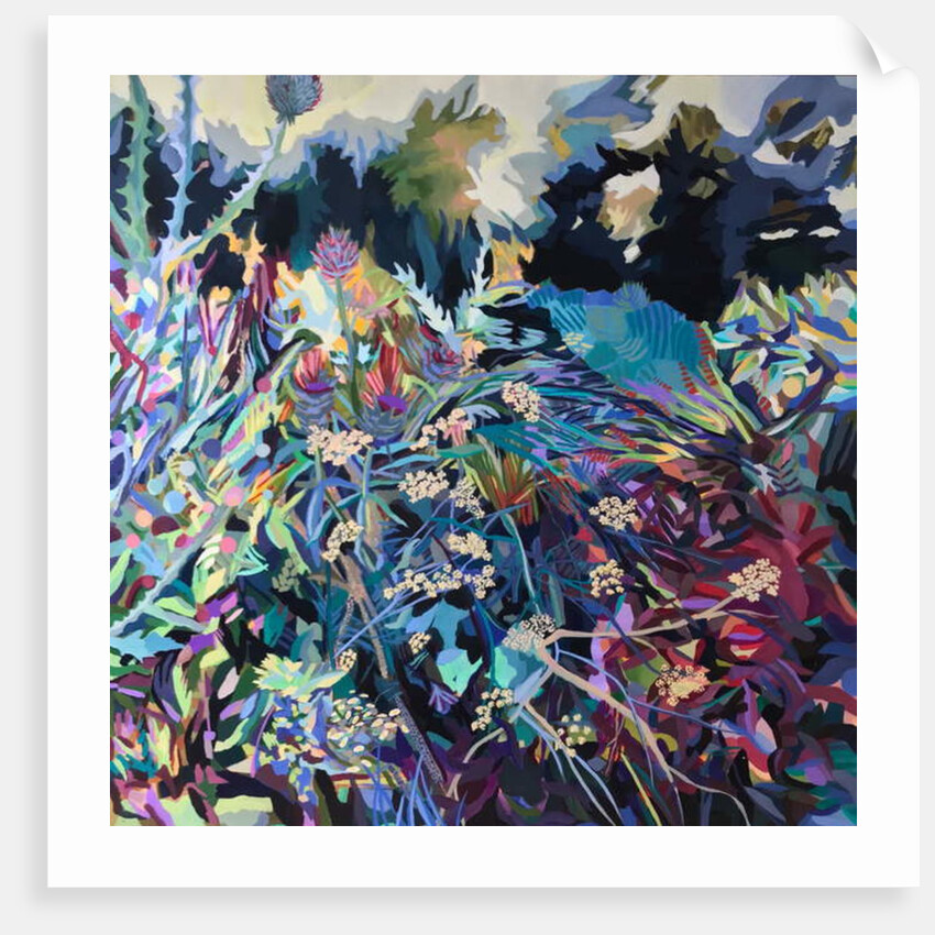 Cow Parsley by rose lascelles