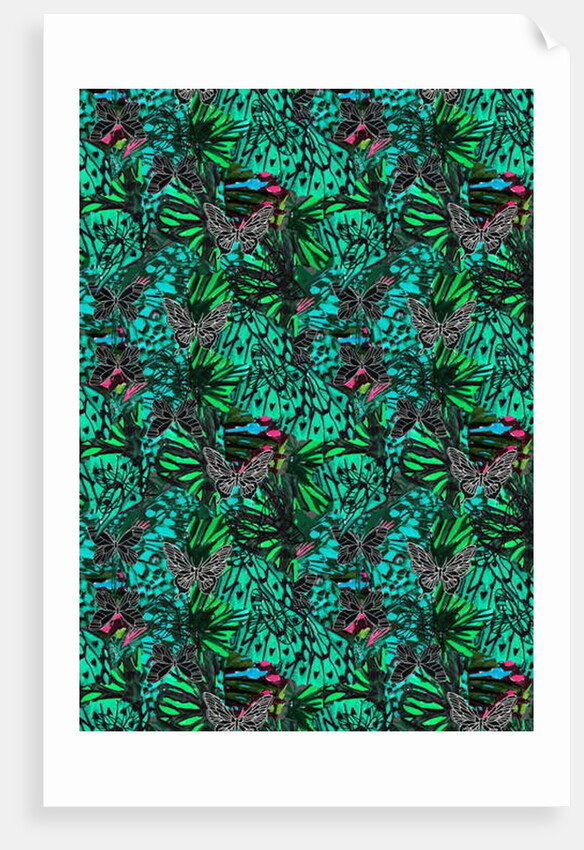 Papillon, 2018 by Tara Whitehead