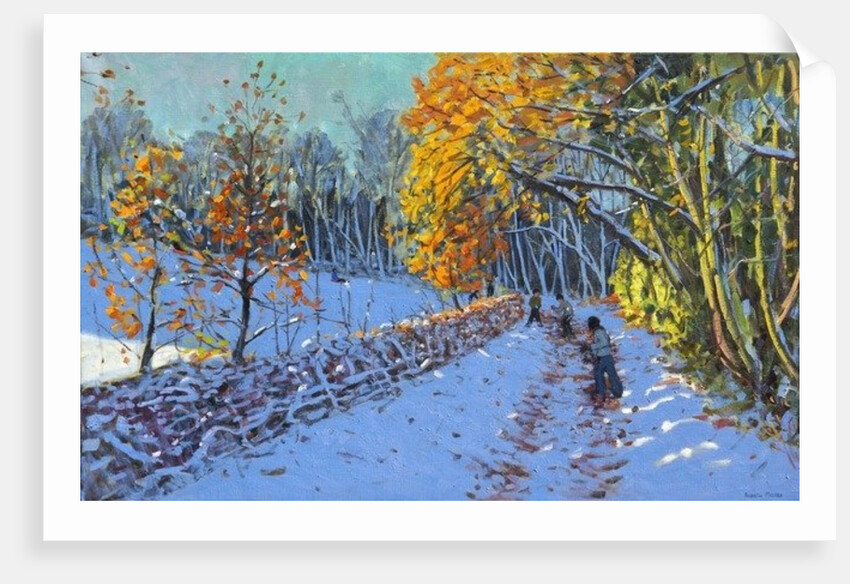 Snowballing, Allestree Park, Derby, 2014 by Andrew Macara