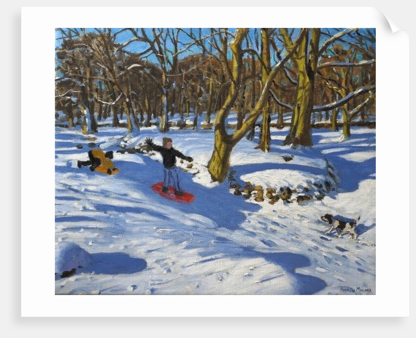 Red sledge, Lomberdale Hall, Derbyshire, 2014 by Andrew Macara