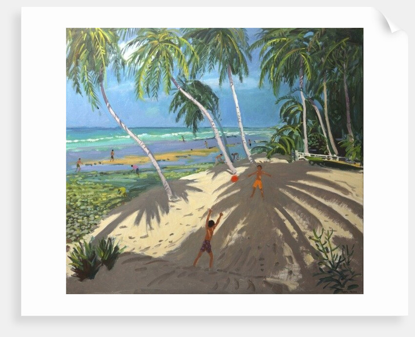 Palm trees, Clovelly beach, Barbados, 2013 by Andrew Macara