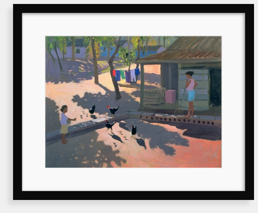 Hens and Chickens, Cuba, 1997 by Andrew Macara