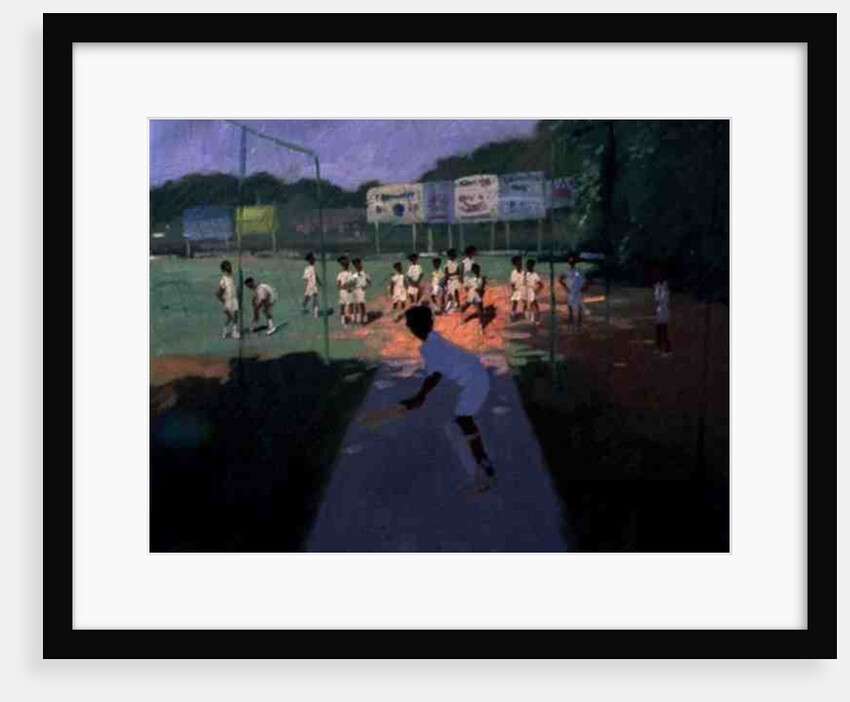 Cricket, Sri Lanka, 2001 by Andrew Macara