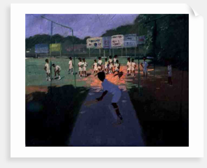 Cricket, Sri Lanka, 2001 by Andrew Macara