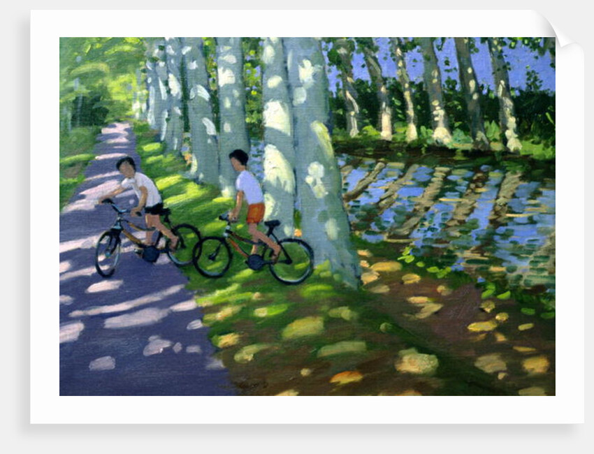 Canal du Midi, France by Andrew Macara