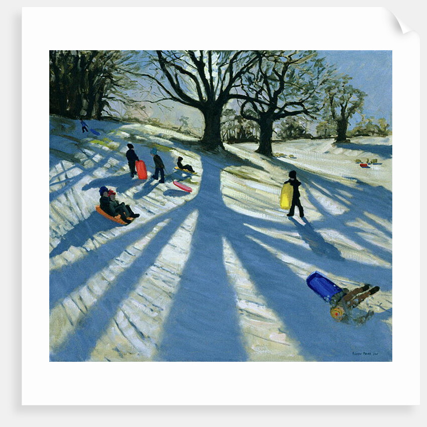 Winter Tree, Snow Sledgers, Calke Abbey, Derby by Andrew Macara