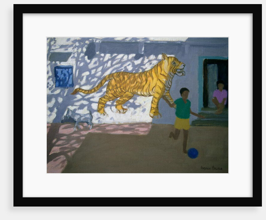 Tiger, India by Andrew Macara