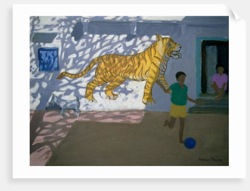 Tiger, India by Andrew Macara