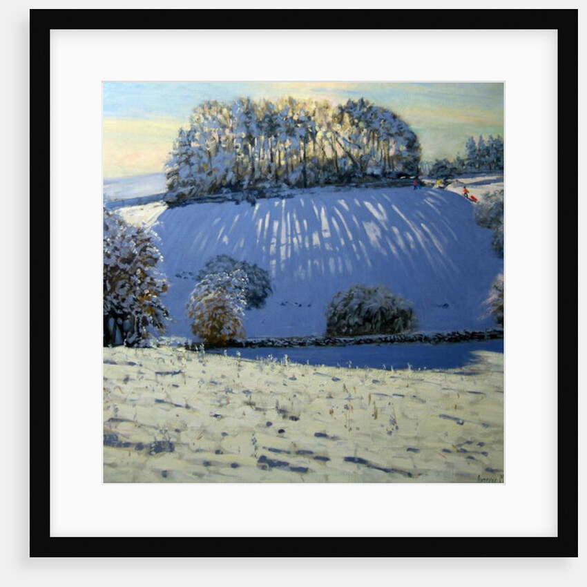 Field of shadows, near Youlgrave, Derbyshire by Andrew Macara