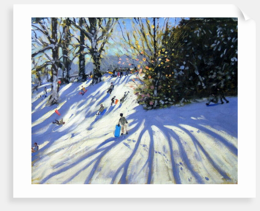Early snow, Darley Park by Andrew Macara