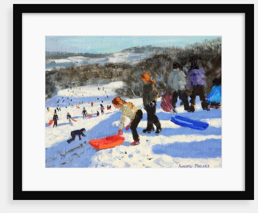 Detail of The red sledge, Allestree Park, Derby, 2016 by Andrew Macara