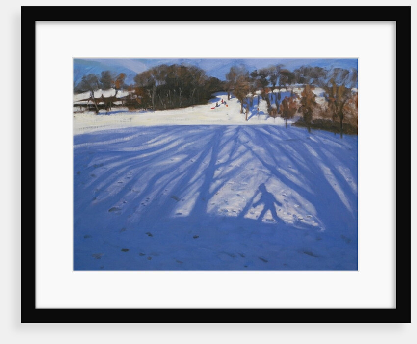 Shadow of Sledger, 2008 by Andrew Macara