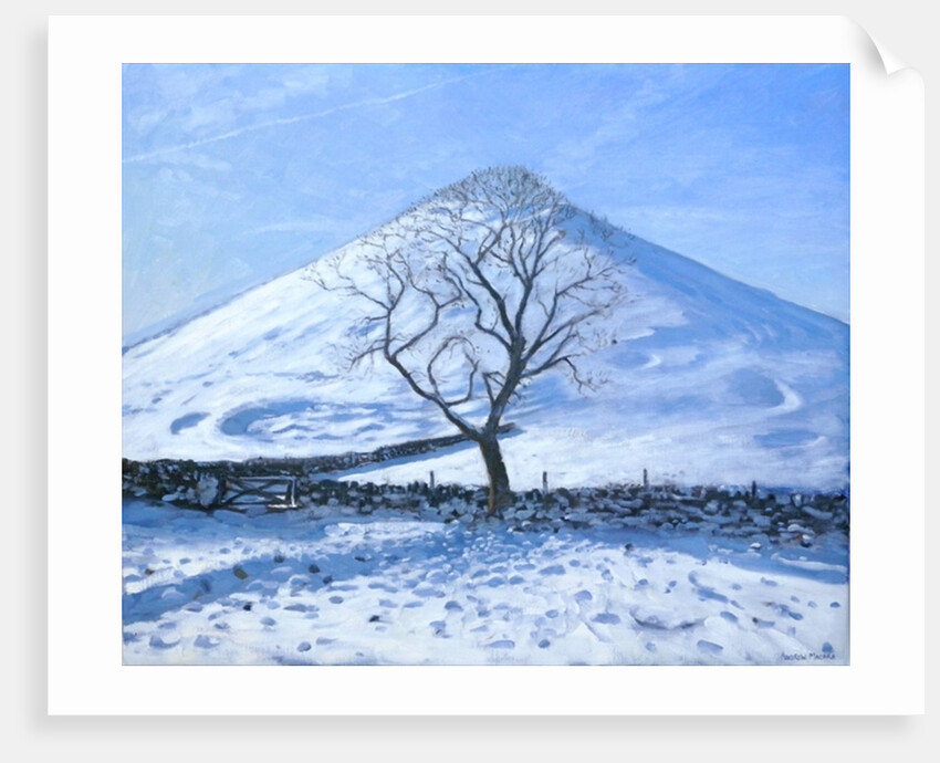 Hill and Tree, Derbyshire, 2008 by Andrew Macara