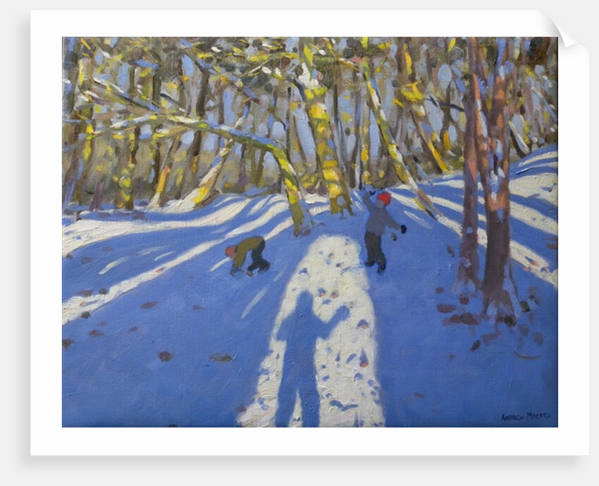 Winter Elvaston Castle, 2008 by Andrew Macara