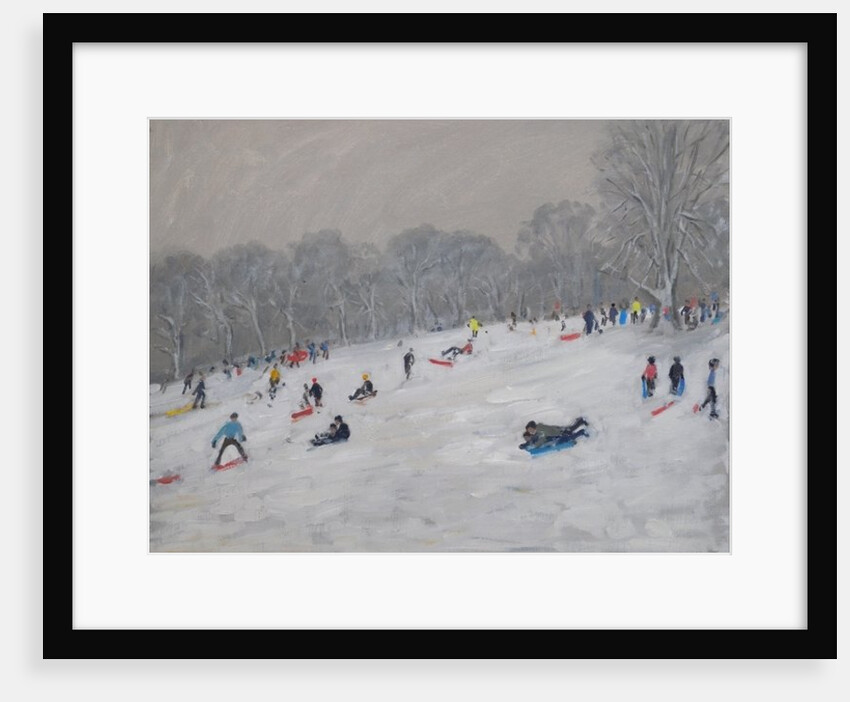 Winter, Darley Park, 2009 by Andrew Macara