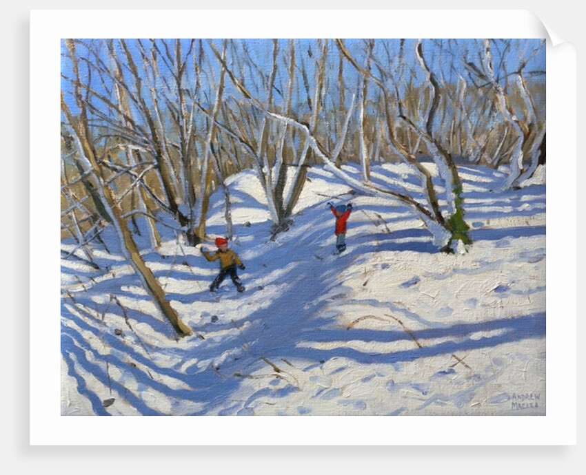 Spring Snow, Newhaven Derbyshire, 2008 by Andrew Macara