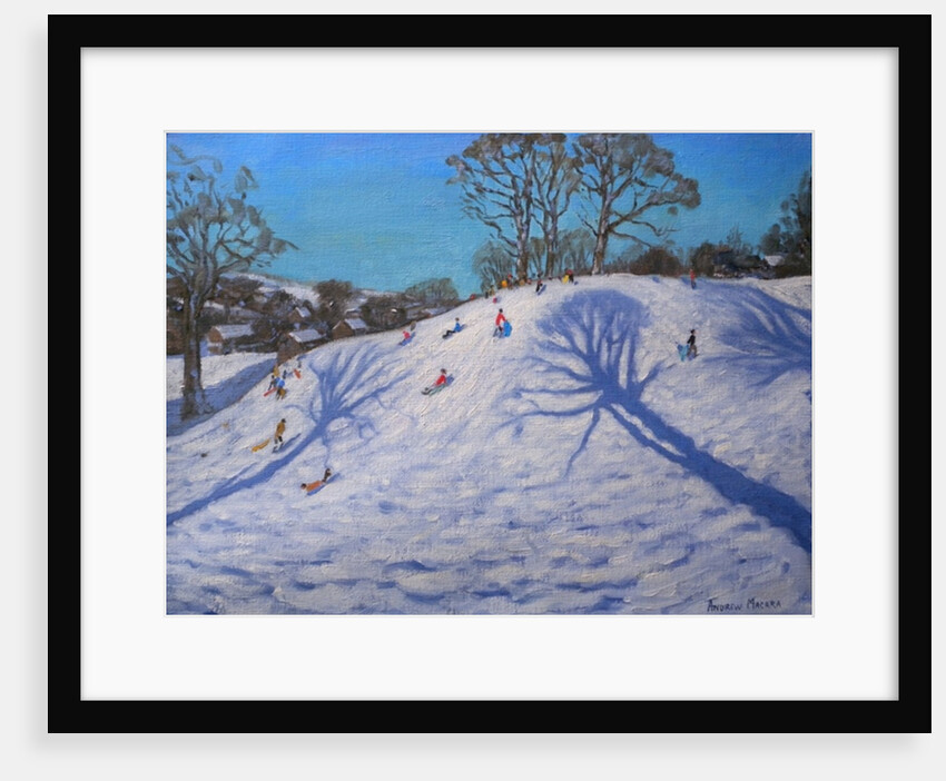 Two Tree shadows, Bolehill, Wirksworth, 2009 by Andrew Macara