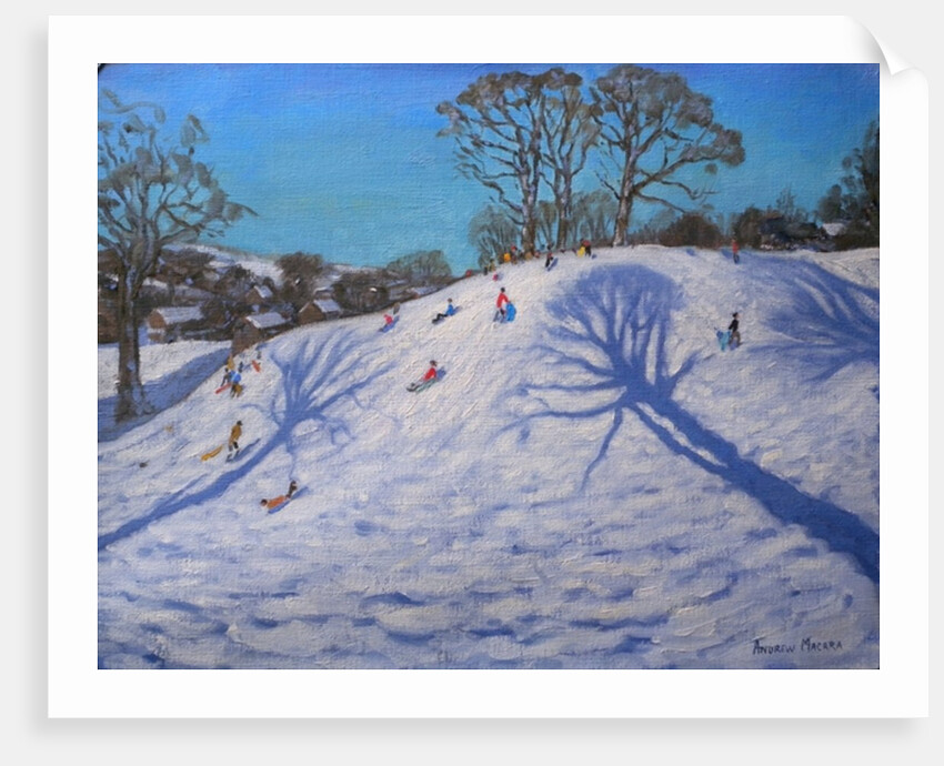 Two Tree shadows, Bolehill, Wirksworth, 2009 by Andrew Macara