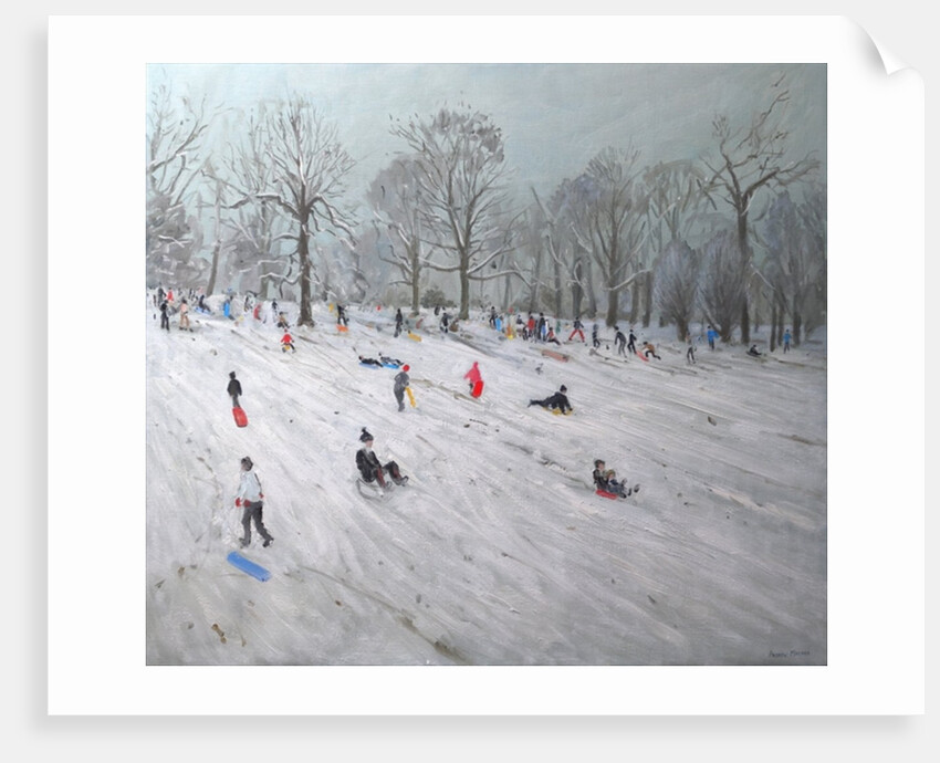 Tobogganers, Darley Park, 2009 by Andrew Macara