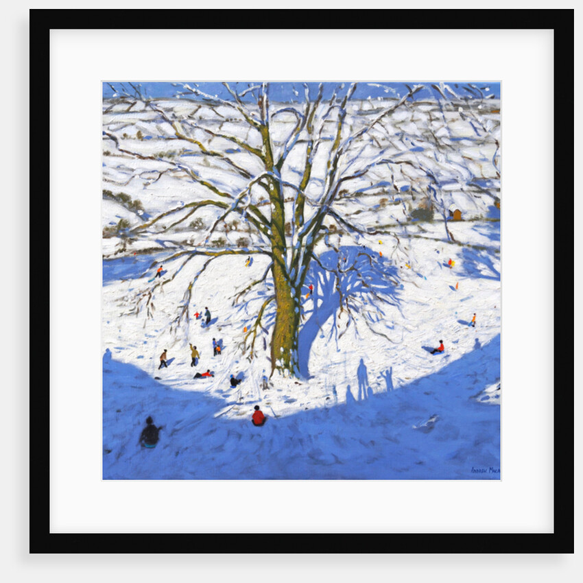 Hillside, Elton, near Rowsley, Chatsworth, Derbyshire, 2017 by Andrew Macara