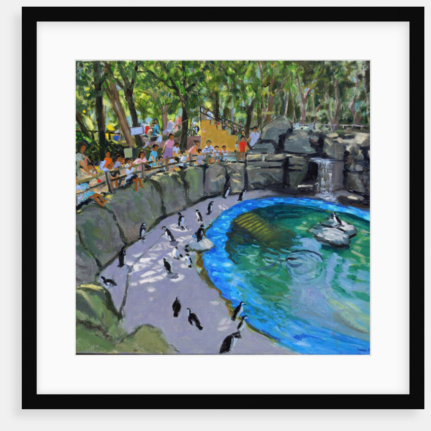 Penguin Pool, Madrid Zoo, 2015 by Andrew Macara