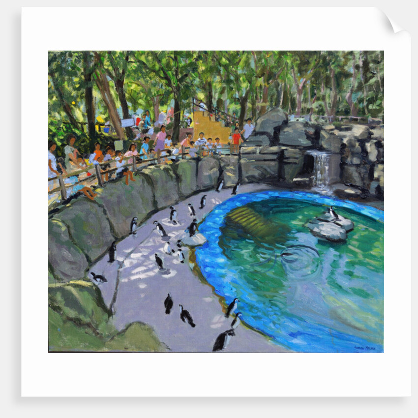 Penguin Pool, Madrid Zoo, 2015 by Andrew Macara