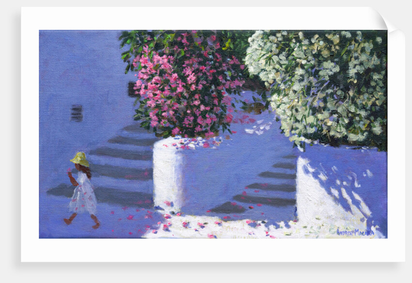 Bougainvillea, Anandas, Milos, Greek Islands, 2017 by Andrew Macara