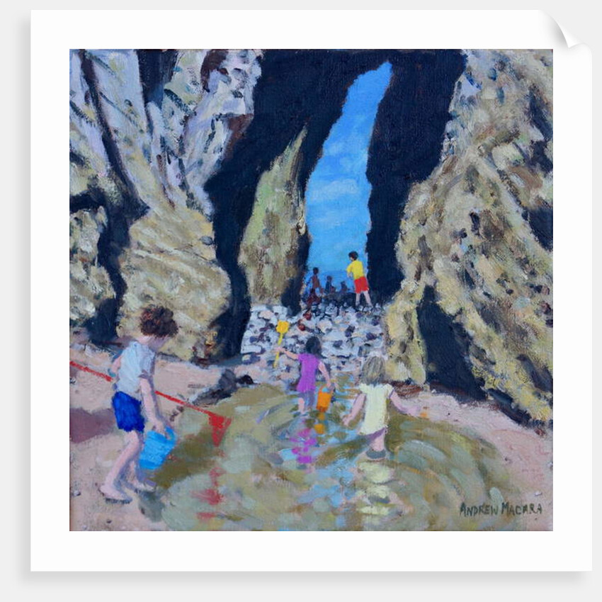 Rock Pool, Tenby, 2017 by Andrew Macara