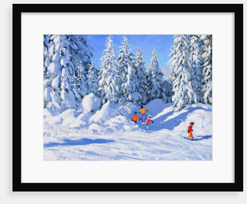 Bright morning and snow covered trees, Morzine, 2018 by Andrew Macara