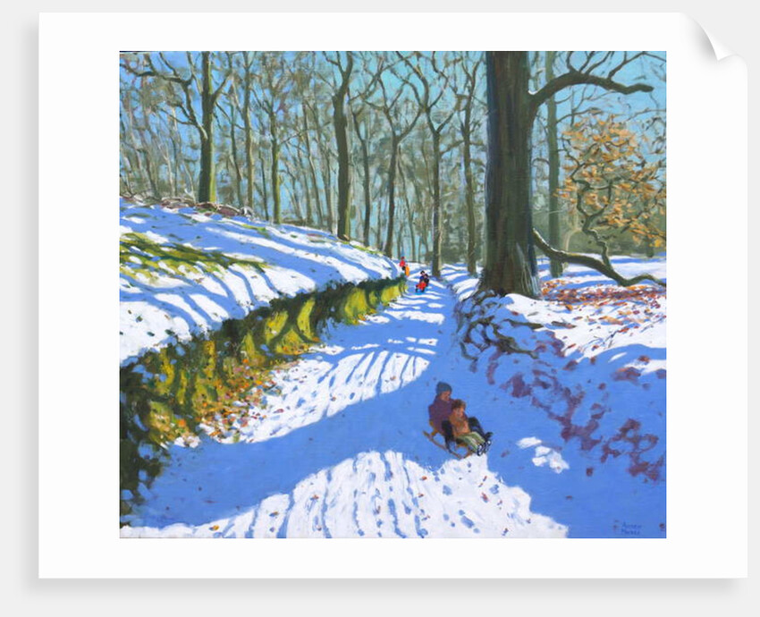Sledging through the woods, Osmaston Park, Derby, 2018 by Andrew Macara
