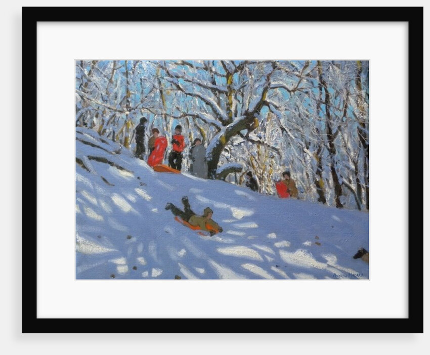 Sledging in Allestree Woods, 2011 by Andrew Macara