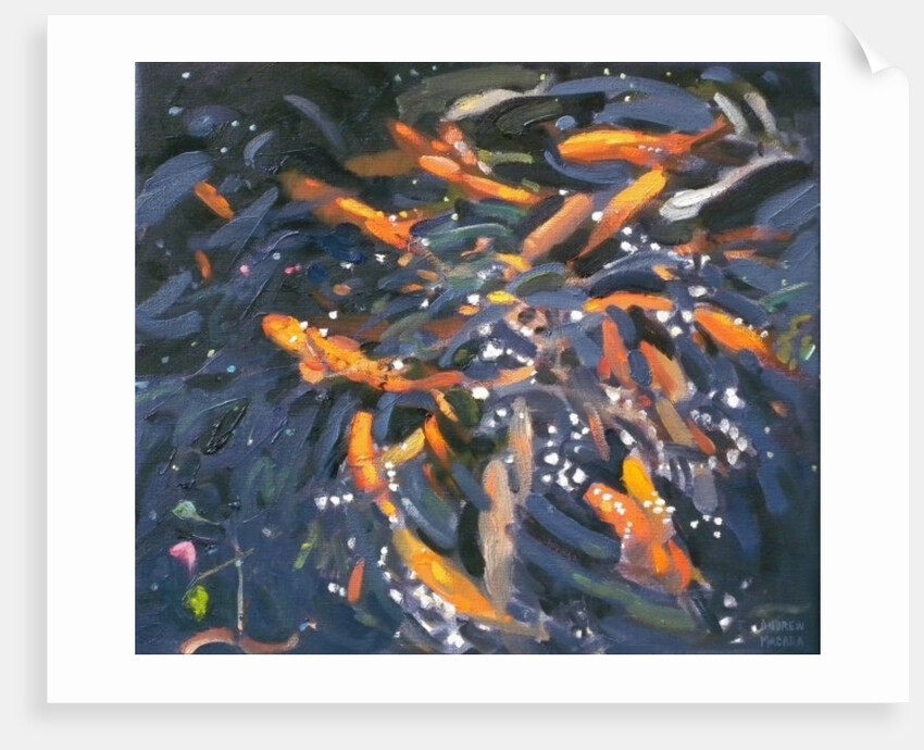 Goldfish, 2010 by Andrew Macara
