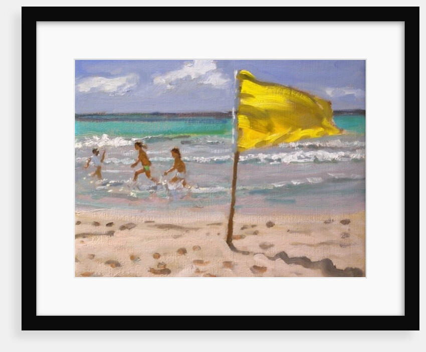 Yellow Flag, Barbados, 2010 by Andrew Macara