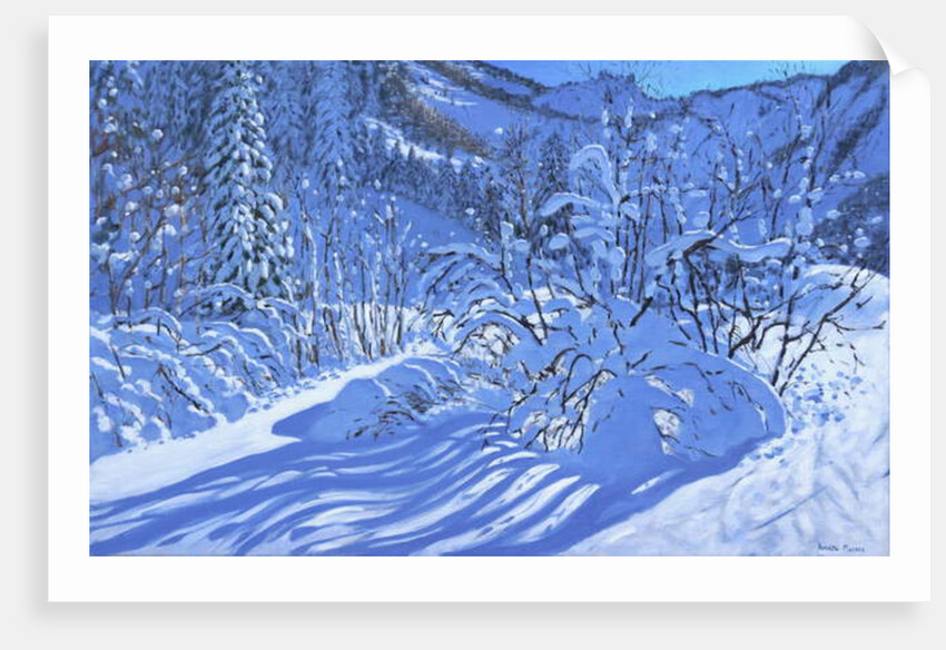 Fresh snow, Les Arcs, France, 2018 by Andrew Macara