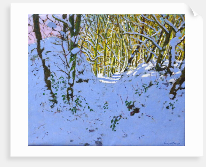 Path through the woods in winter, Derbyshire, 2019 by Andrew Macara