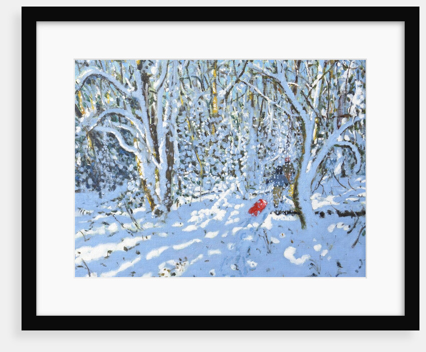 Red sledge, Allestree Park, Derby, 2022 by Andrew Macara