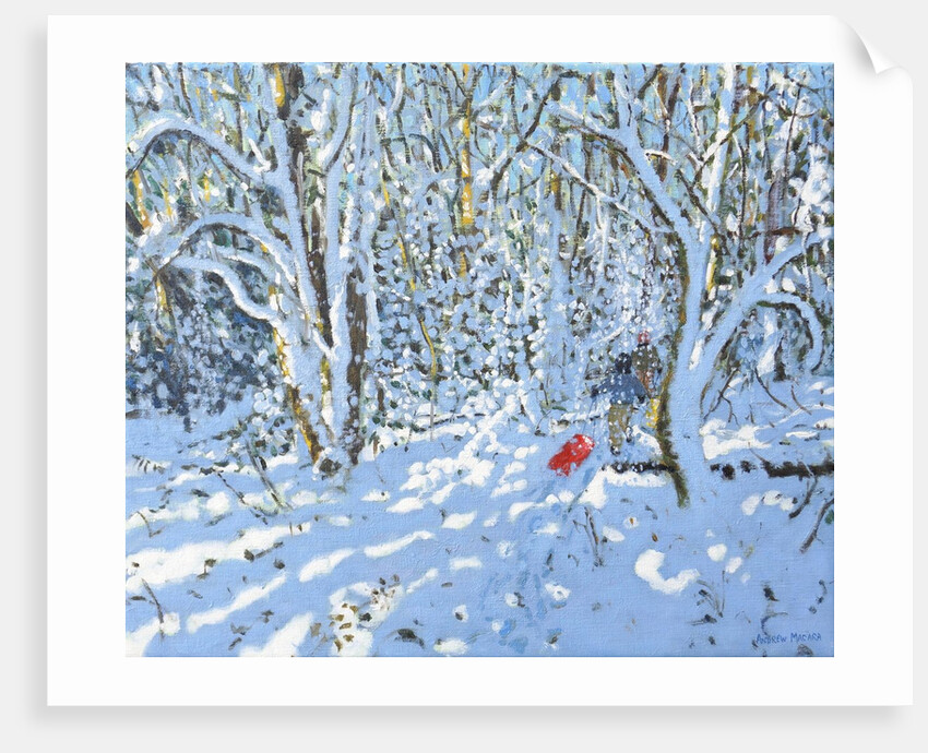 Red sledge, Allestree Park, Derby, 2022 by Andrew Macara