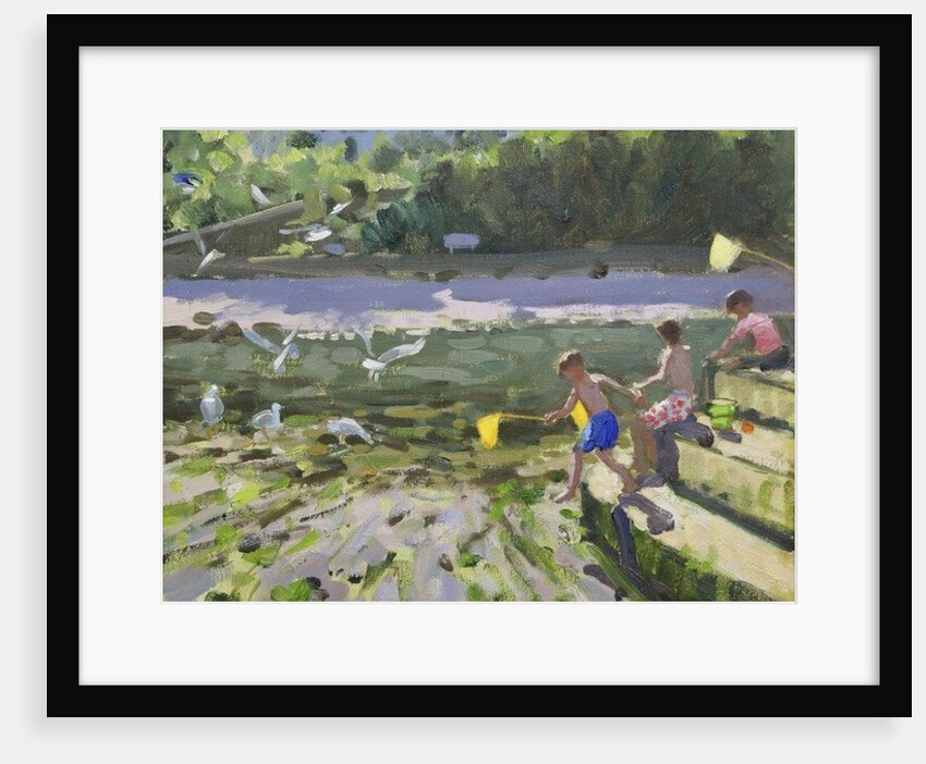 Kids and seagulls, Looe, 2013 by Andrew Macara