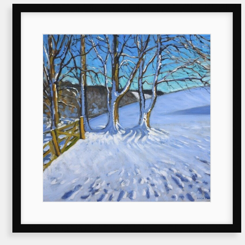 Gate and trees, Winter, Dam Lane, Derbyshire, 2013 by Andrew Macara