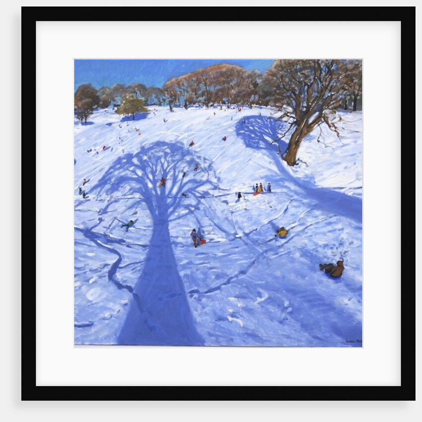 Chatsworth, winter tree shadows, 2013 by Andrew Macara