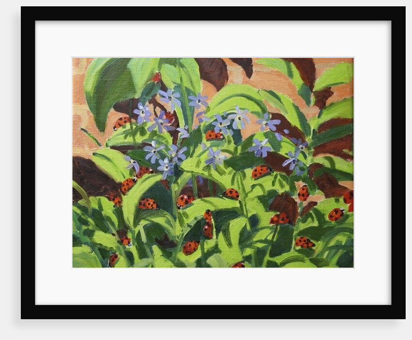 Ladybirds, 2013 by Andrew Macara