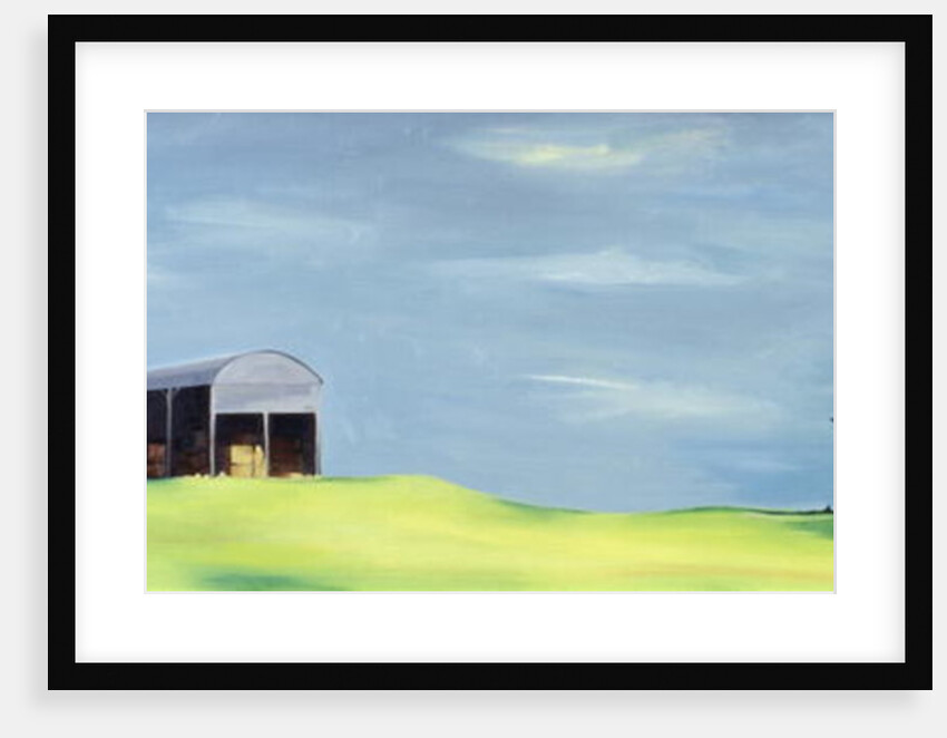 Poulton Fields by Ana Bianchi