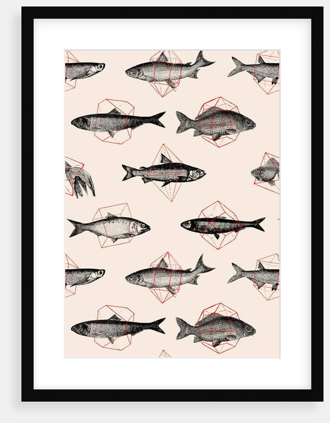 Fishes in Geometrics, 2016 by Florent Bodart