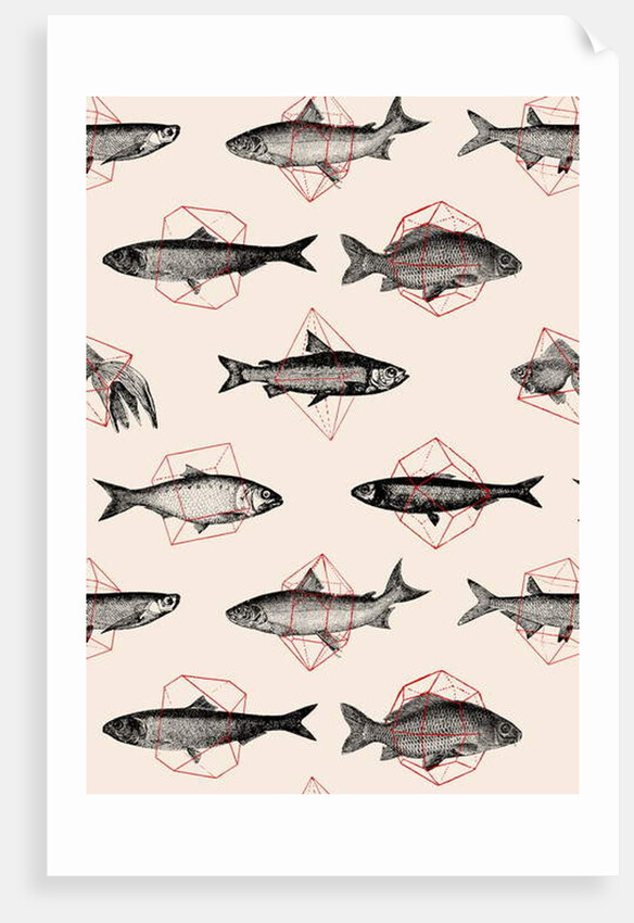 Fishes in Geometrics, 2016 by Florent Bodart