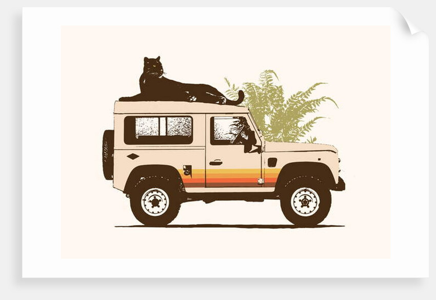 Black Panther on Car by Florent Bodart